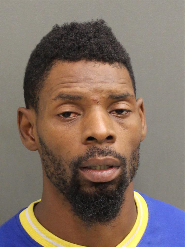  KIOYA GREEN Photo Image