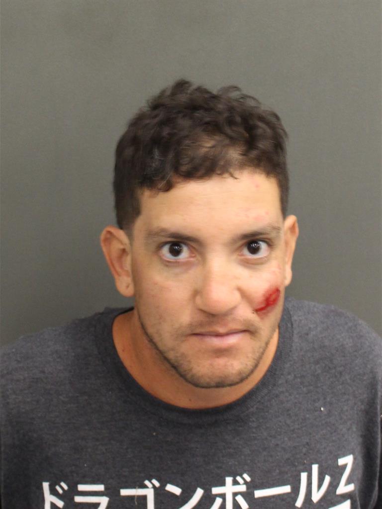  JUAN GABRIEL RAMIREZRIVERA Mugshot / County Arrests / Orange County Arrests