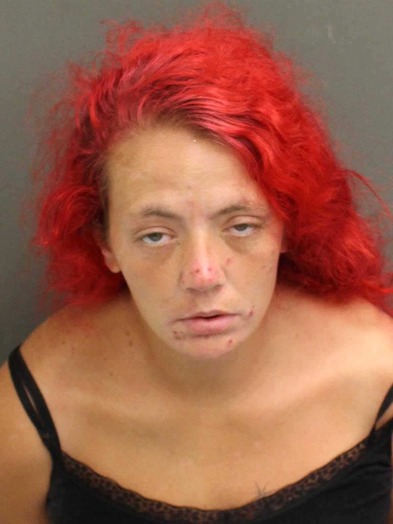  SHANNON L KNOX Mugshot / County Arrests / Orange County Arrests