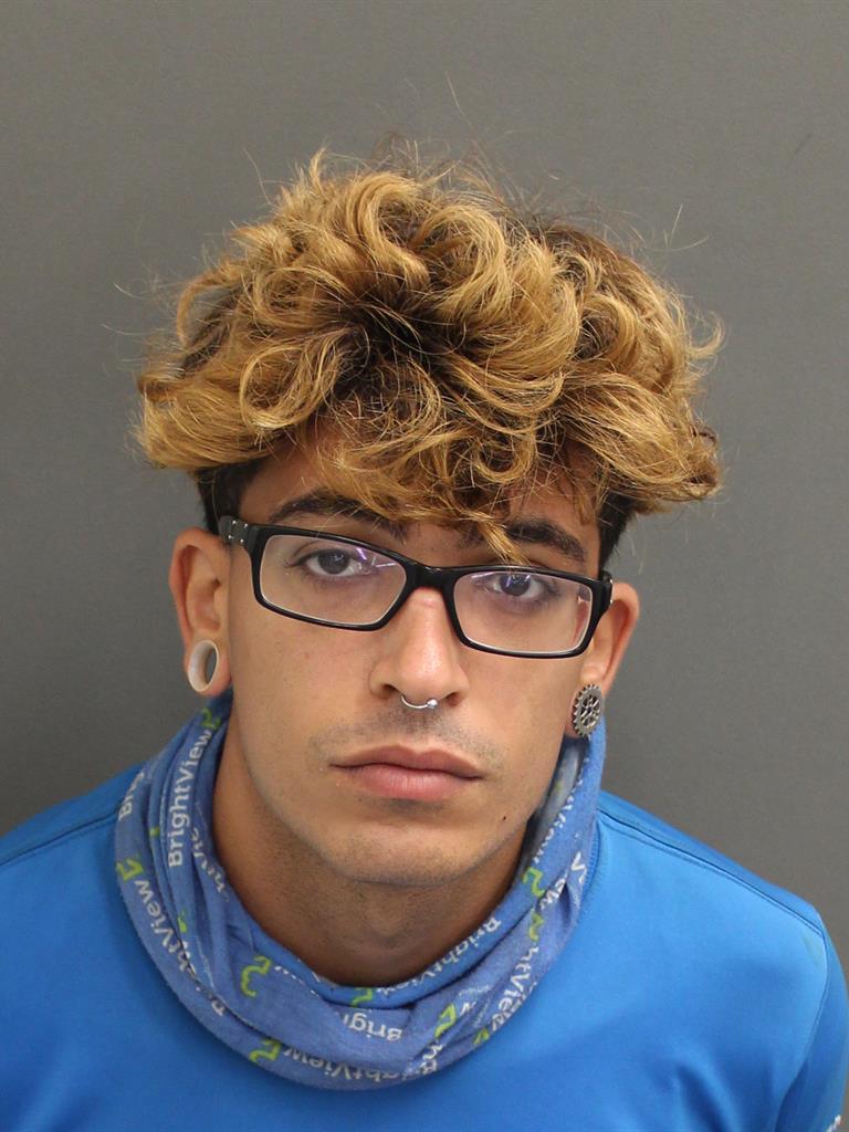  NICHOLAS ANTONIO PARADISO Mugshot / County Arrests / Orange County Arrests