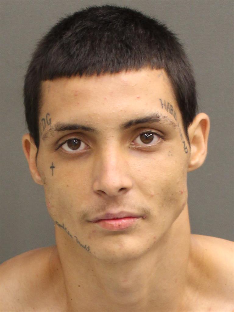  SEBASTIAN TOMAS GOMEZ Mugshot / County Arrests / Orange County Arrests