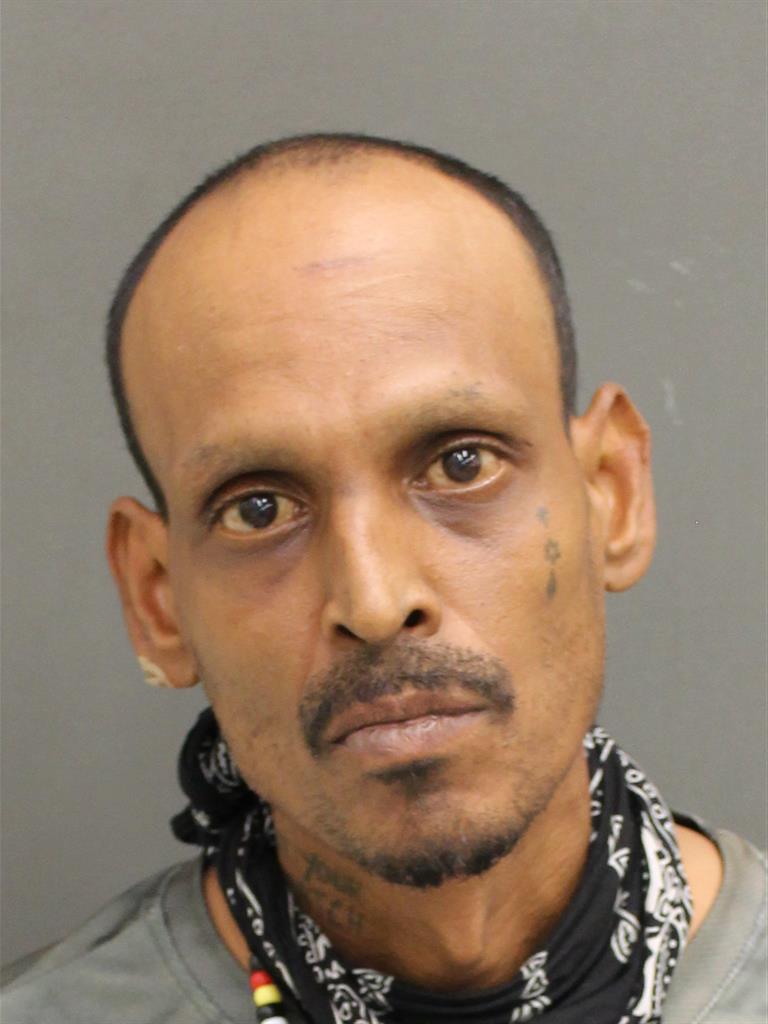  SIMON PETER RAMIN ANAN Mugshot / County Arrests / Orange County Arrests