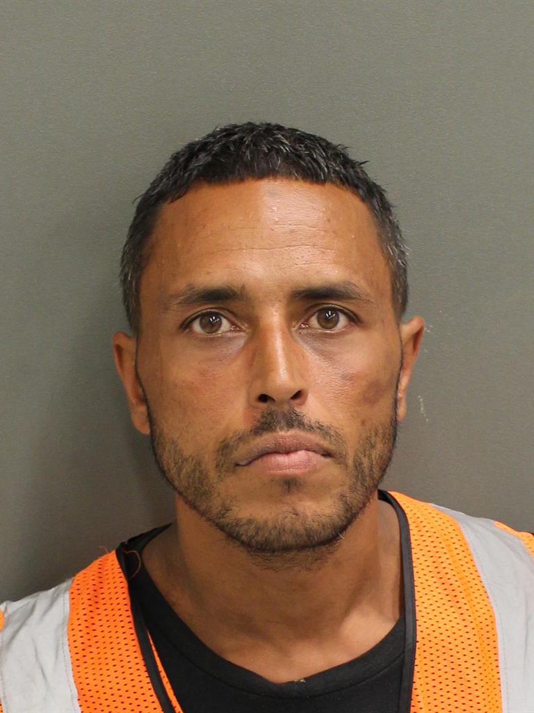  REYNALDO JOHNNY ORTIZ Mugshot / County Arrests / Orange County Arrests