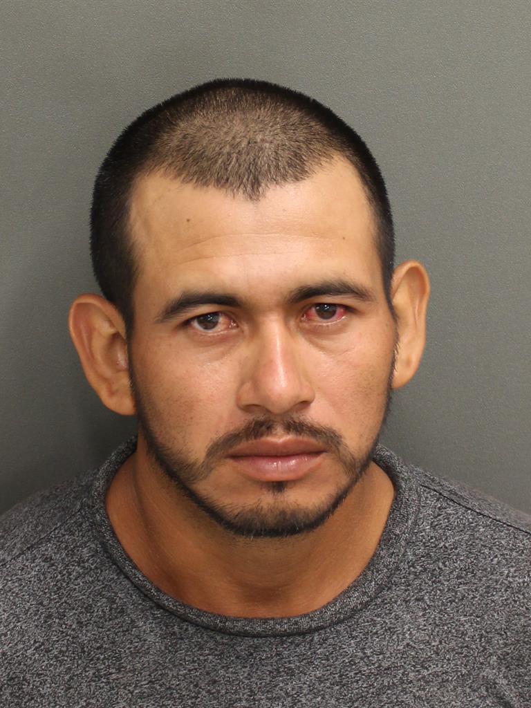  DOMINGO CASASRAMIREZ Photo Image