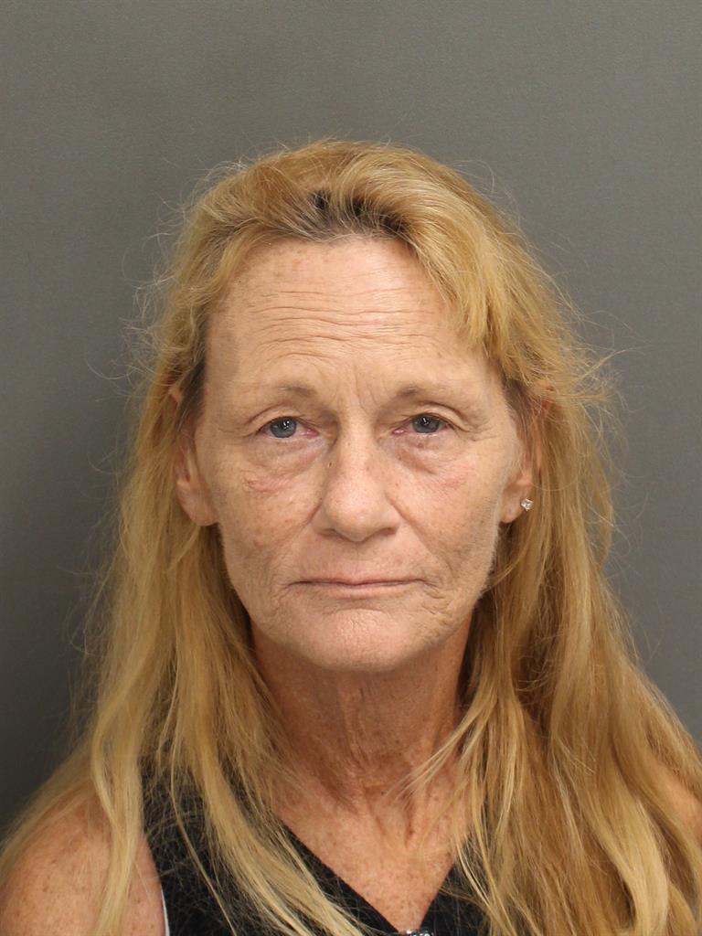  SUSAN LYNN BROCK Mugshot / County Arrests / Orange County Arrests