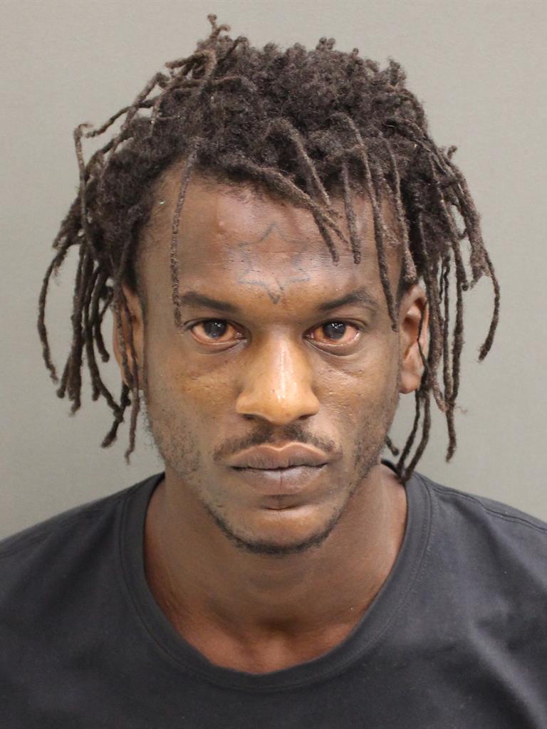  MICHAEL LAWRENCE Mugshot / County Arrests / Orange County Arrests