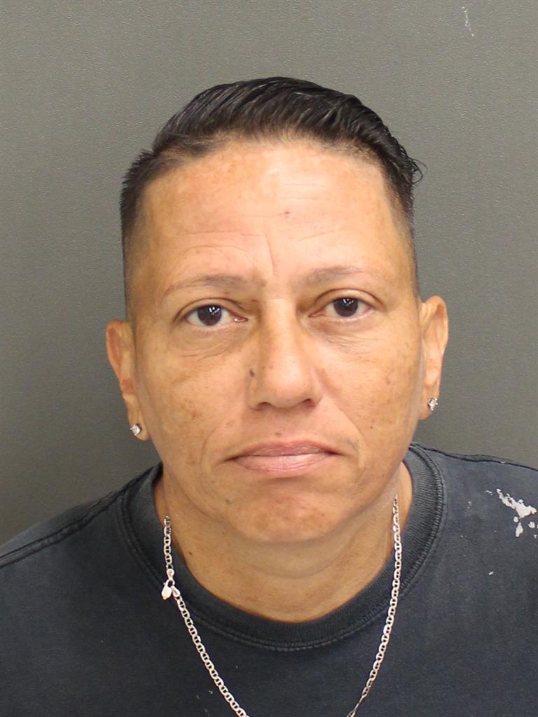  BEZAIDA RUIZ Mugshot / County Arrests / Orange County Arrests