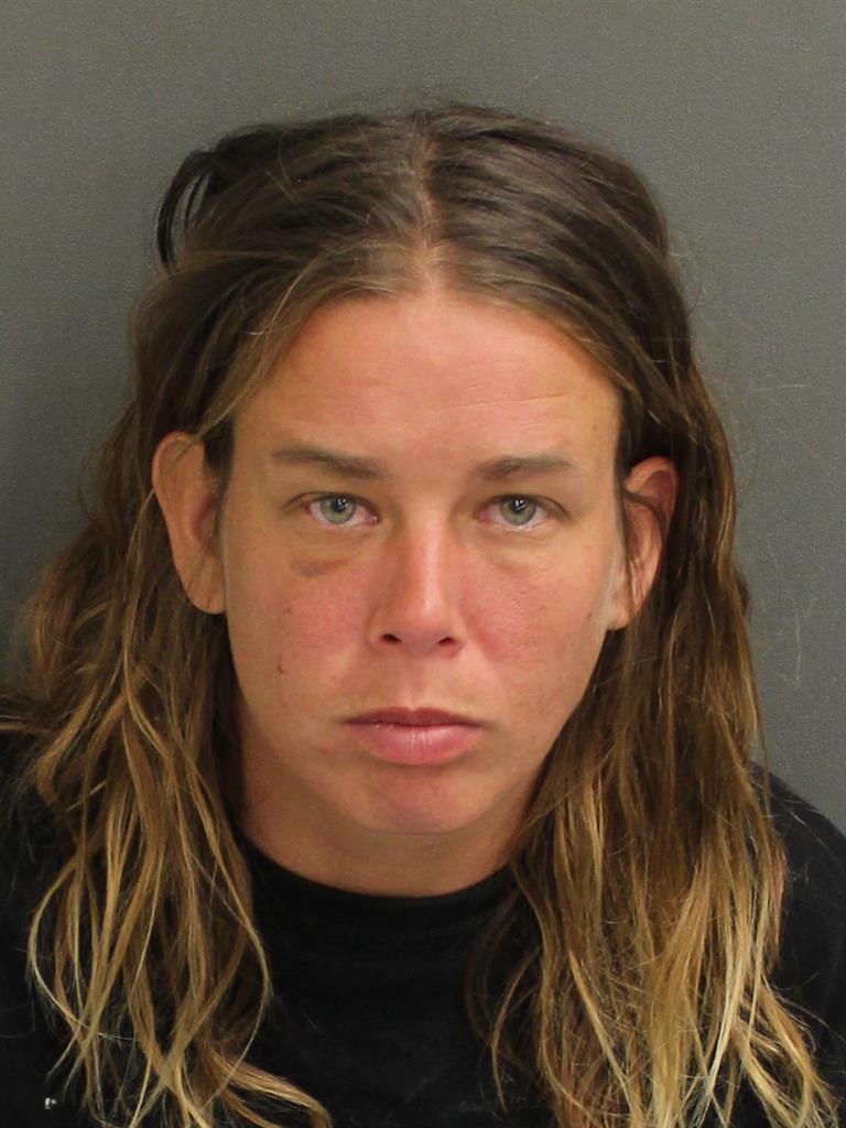 TERI COBB Mugshot / County Arrests / Orange County Arrests