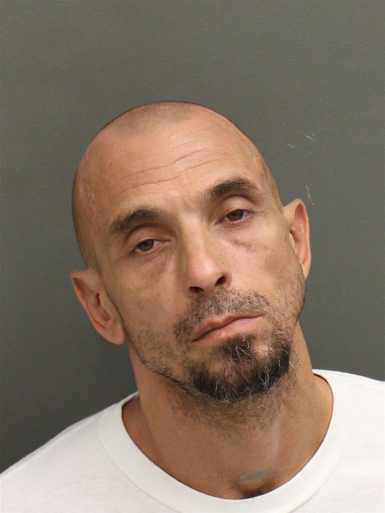  CHRISTOPHER SEABORNE Photo Image