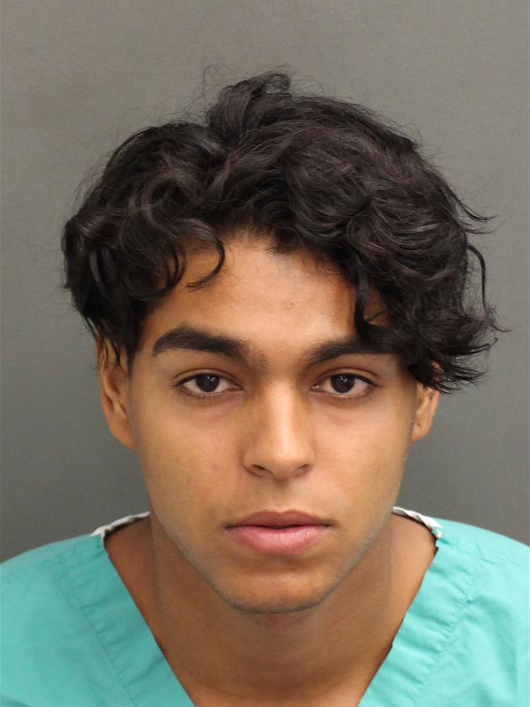 TYLER CAMACHO Mugshot TYLER CAMACHO Mugshot / County Arrests / Orange County Arrests