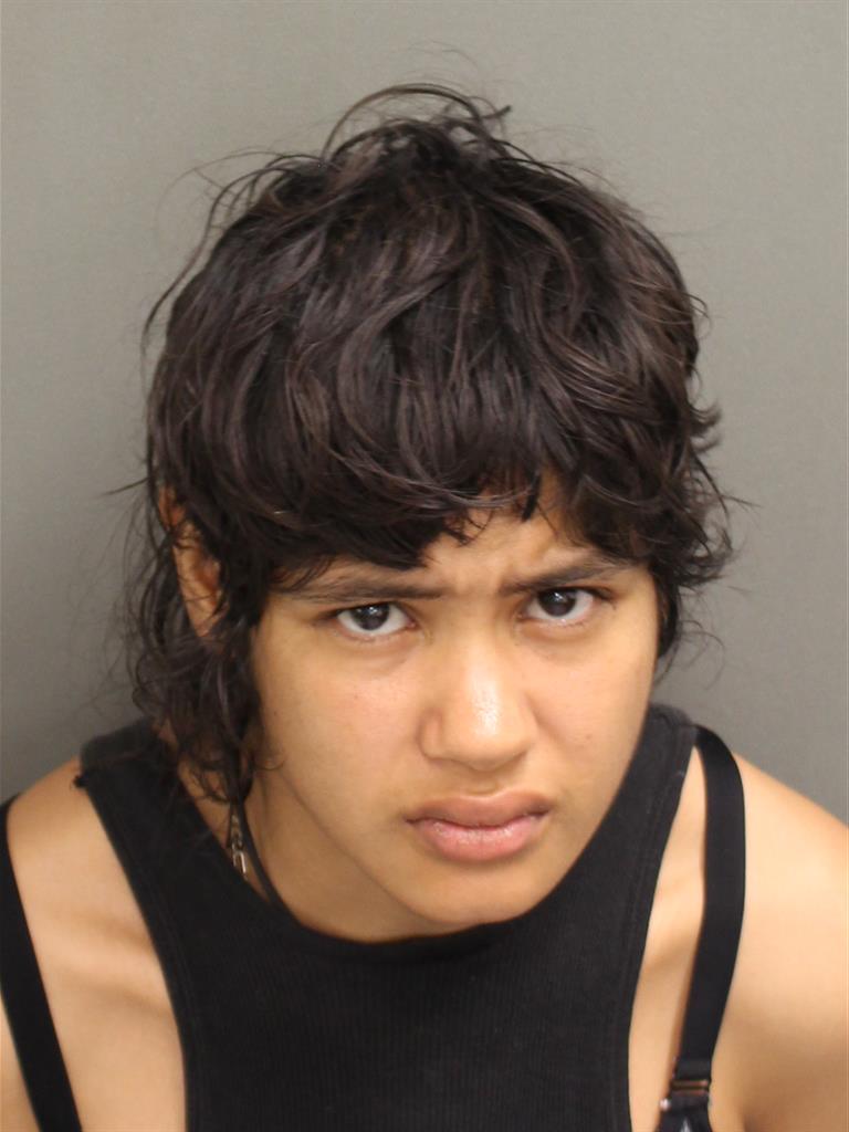  RITA LUPE MARTINEZ Mugshot / County Arrests / Orange County Arrests