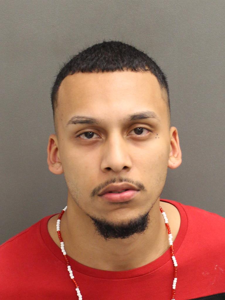  HECTOR  JR LEFEBRE Mugshot / County Arrests / Orange County Arrests