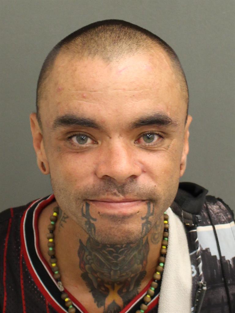  JOHN SNYDER Mugshot / County Arrests / Orange County Arrests