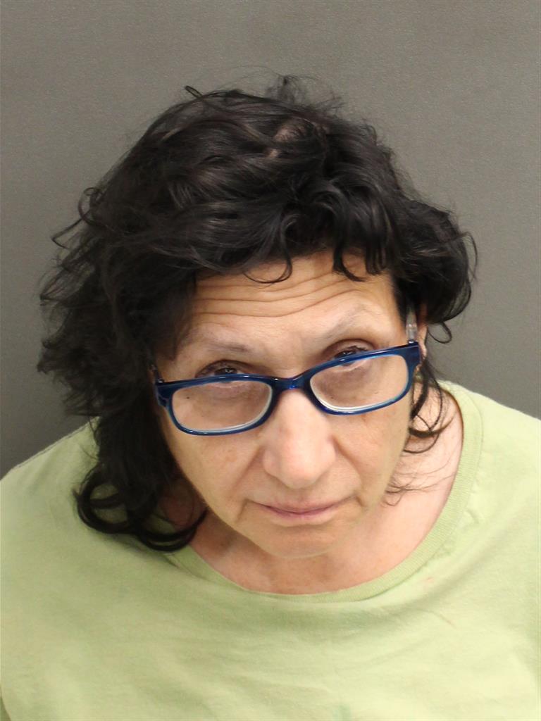  LOUISE C NAPOLITANO Mugshot / County Arrests / Orange County Arrests