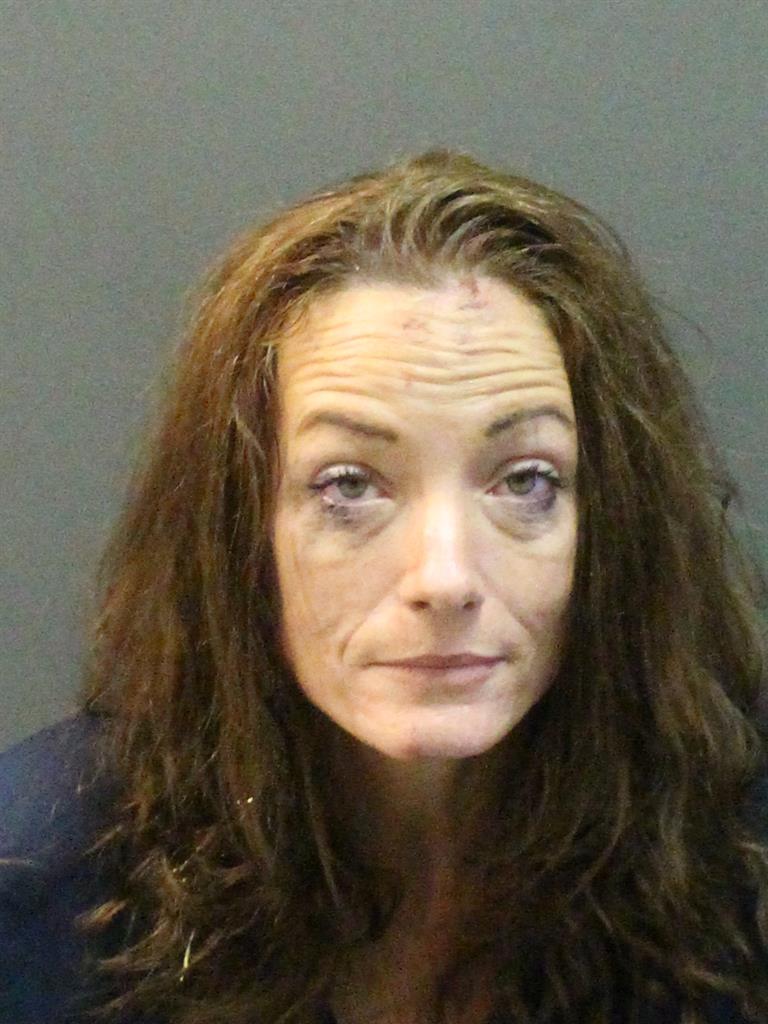  SARAH ANN TURNER Mugshot / County Arrests / Orange County Arrests