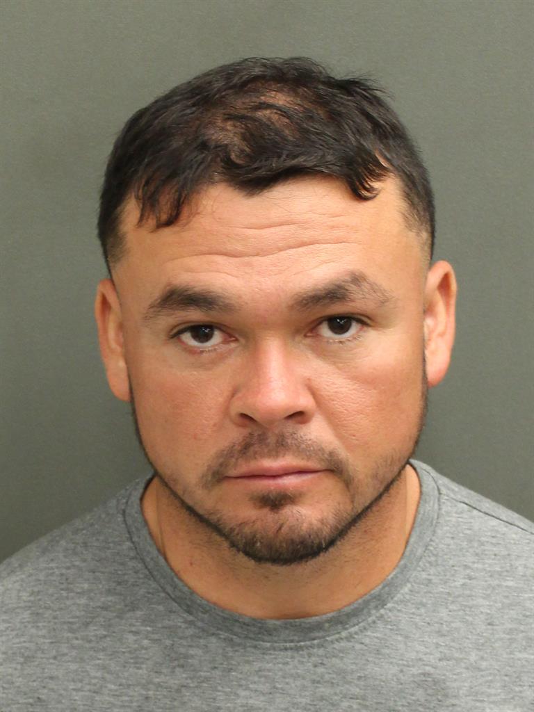  BLADIMIR ALFAROCHAVARRIA Mugshot / County Arrests / Orange County Arrests