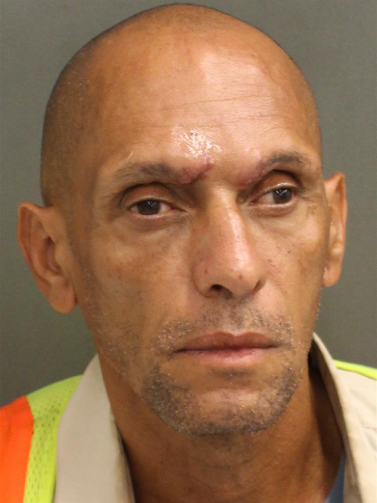  LUIS ANTONIO VIERA Mugshot / County Arrests / Orange County Arrests