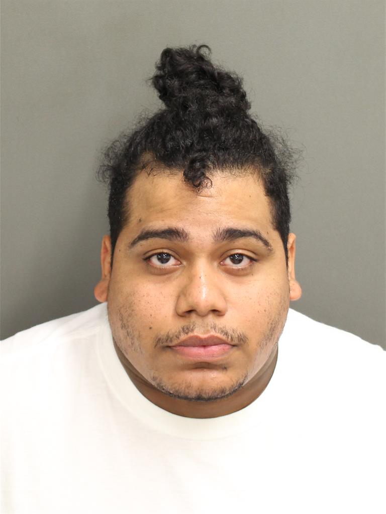  LUIS MOLINA Mugshot / County Arrests / Orange County Arrests