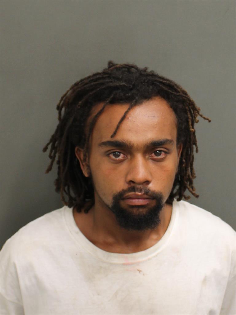  DANIEL HAMMER HARP Mugshot / County Arrests / Orange County Arrests