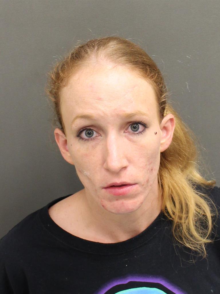  NANCY LYNN SCHMEISSER Mugshot / County Arrests / Orange County Arrests