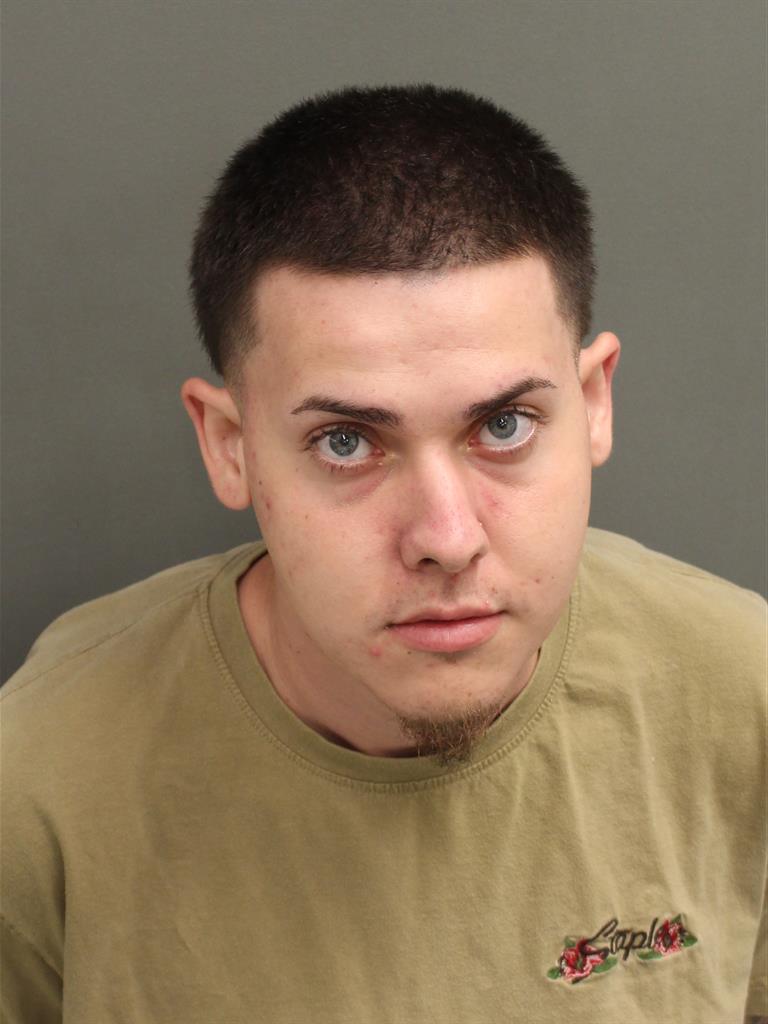  BRUCE DE OLIVEIRA ARREOLA Mugshot / County Arrests / Orange County Arrests
