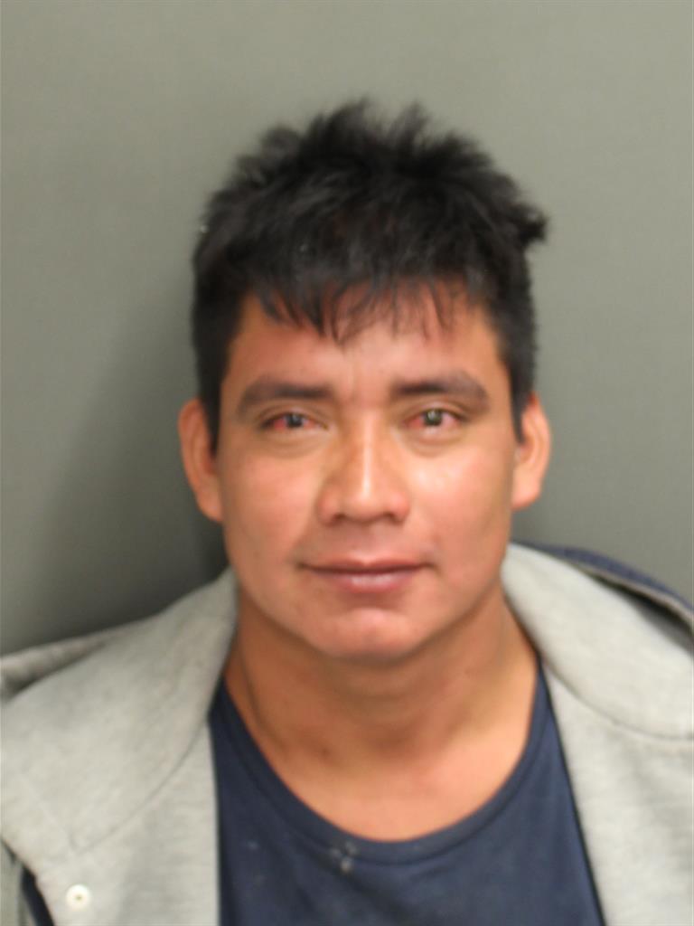  FELIPE DE CASTILLORAMIREZ Mugshot / County Arrests / Orange County Arrests