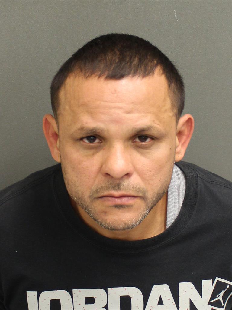  LUIS ENRIQUE TORRESVEGA Mugshot / County Arrests / Orange County Arrests