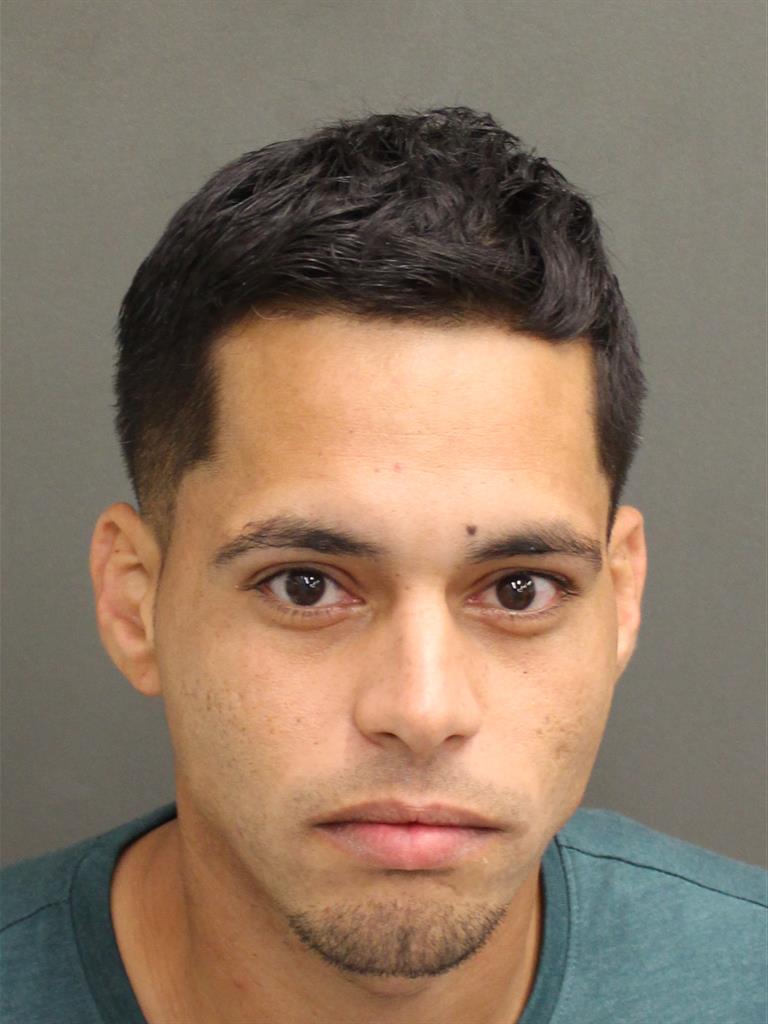  LUIS RIVERA Mugshot / County Arrests / Orange County Arrests