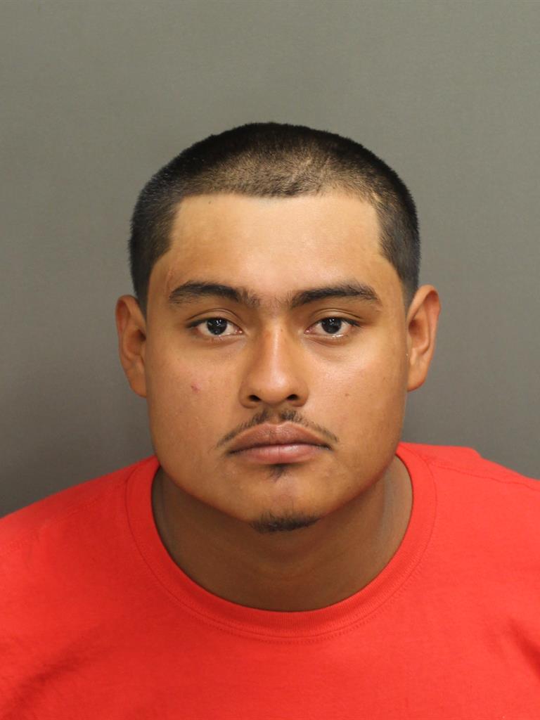  PEDRO LUIS ARIESSANTIBANEZ Mugshot / County Arrests / Orange County Arrests