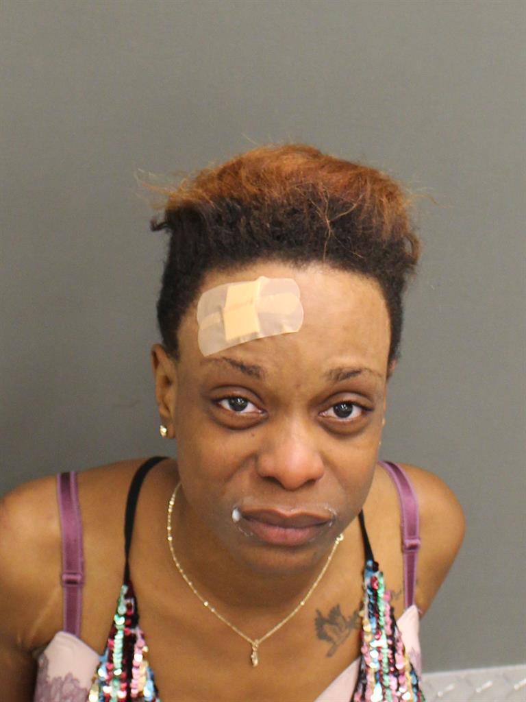  RITEZA RICHE Mugshot / County Arrests / Orange County Arrests