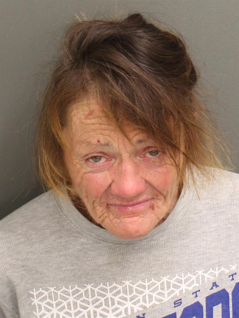  BRENDA F JOHNSON Mugshot / County Arrests / Orange County Arrests