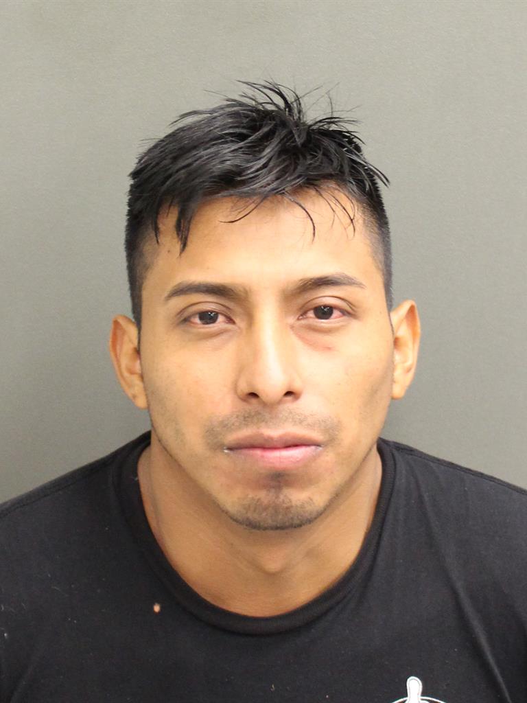  JULIO SALVADOR DOMINGO Mugshot / County Arrests / Orange County Arrests