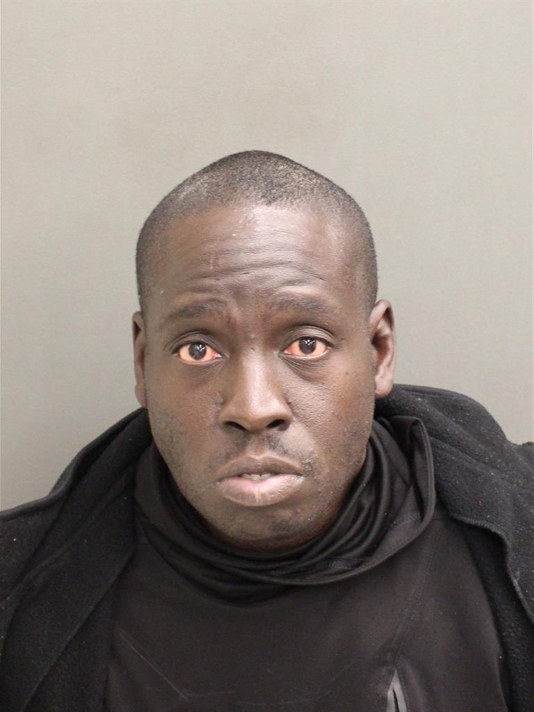  LEON MURVIN GEORGE Mugshot / County Arrests / Orange County Arrests