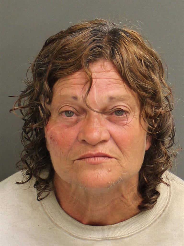  DEBORAH JOAN SEARS Mugshot / County Arrests / Orange County Arrests