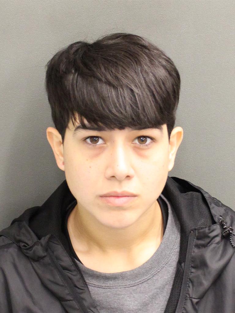  NICOLE MARY MAYSONETPENALVERT Mugshot / County Arrests / Orange County Arrests