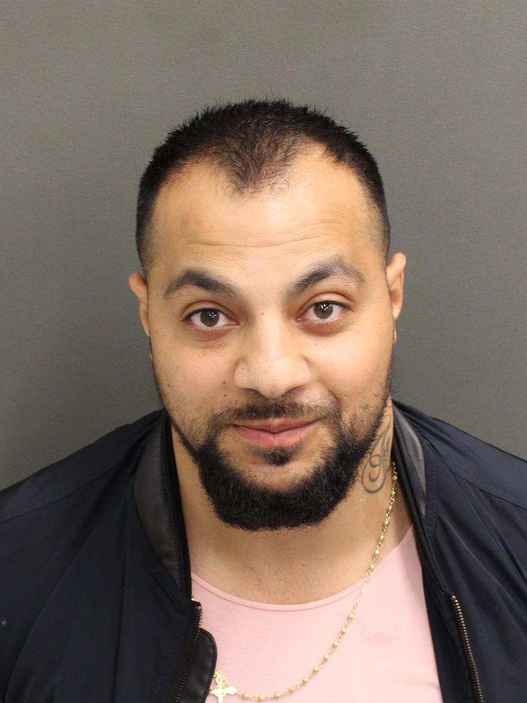  FLORIAN IGNAT Mugshot / County Arrests / Orange County Arrests