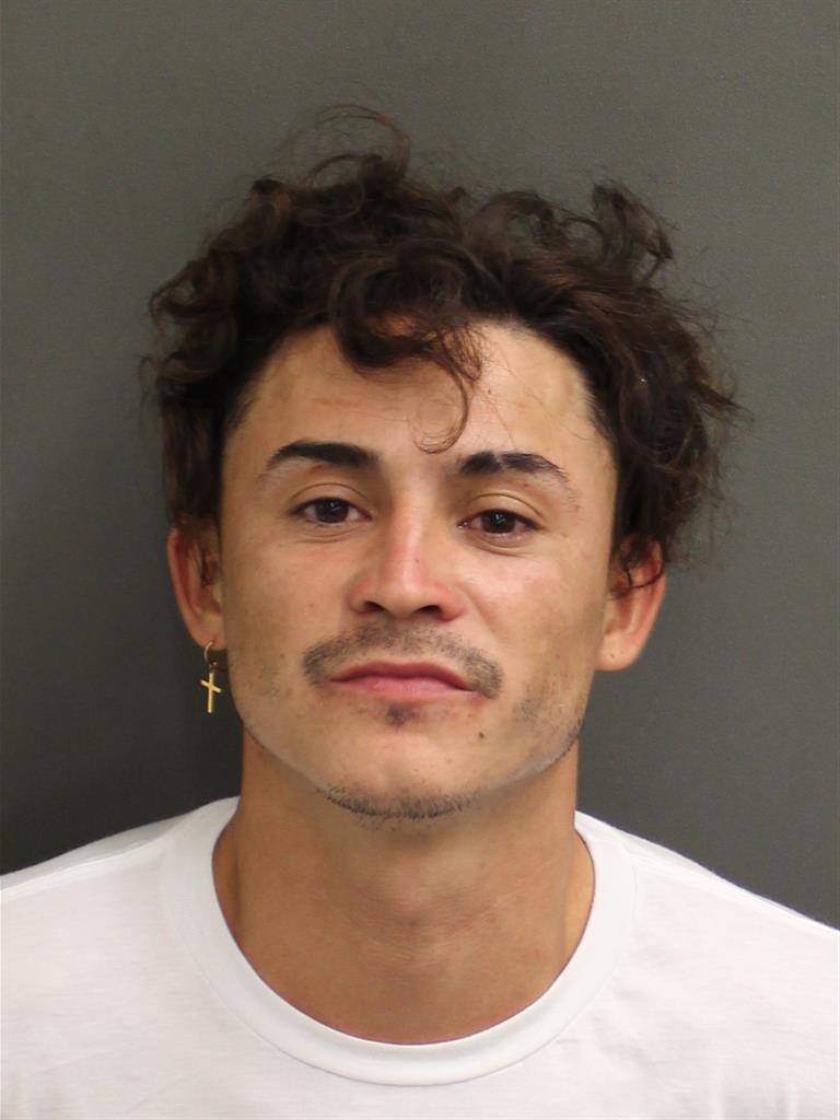  HECTOR MOISES REYESPARALTA Mugshot / County Arrests / Orange County Arrests
