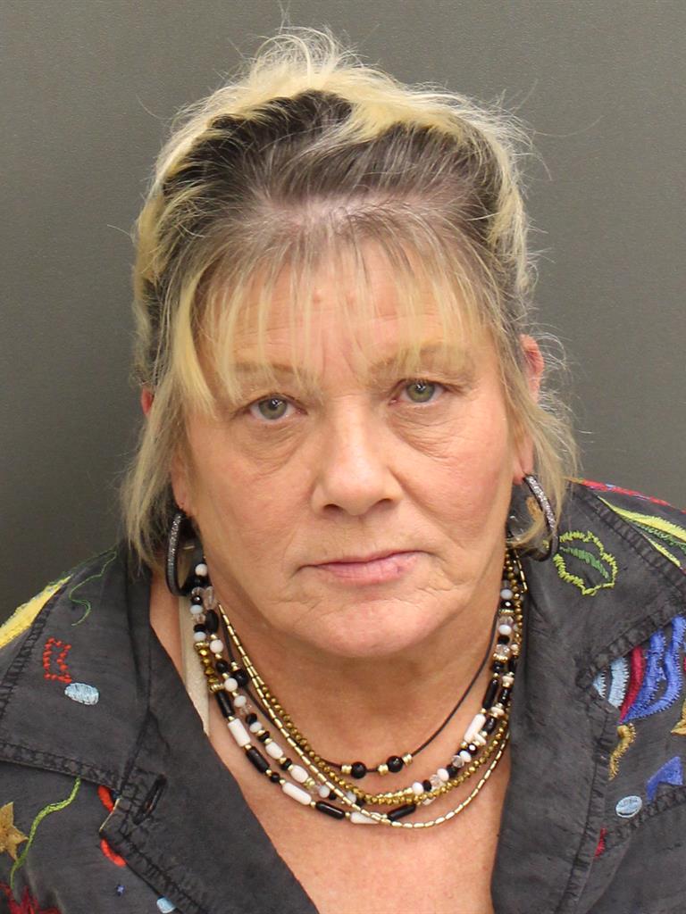  ELAINE MARIE ERICKSON Mugshot / County Arrests / Orange County Arrests