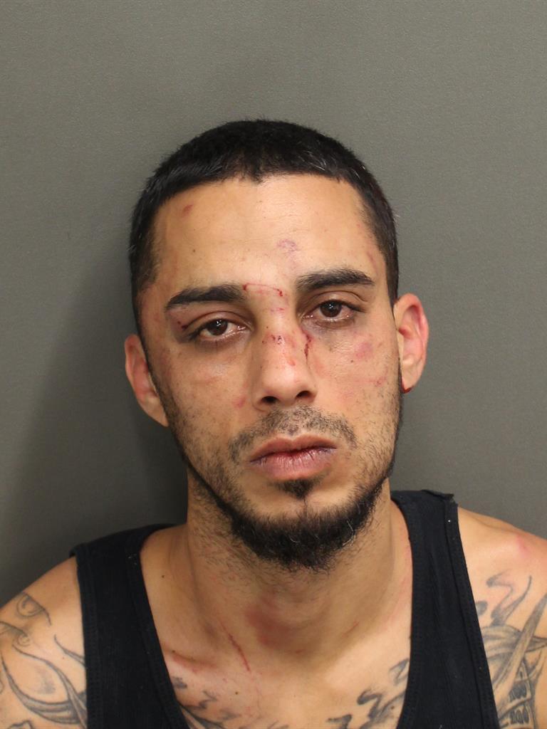  LUIS RIVERA Mugshot / County Arrests / Orange County Arrests
