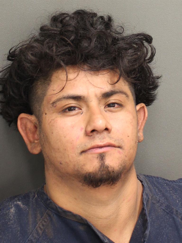  ROBERTO ANTONIO VARGAS Mugshot / County Arrests / Orange County Arrests