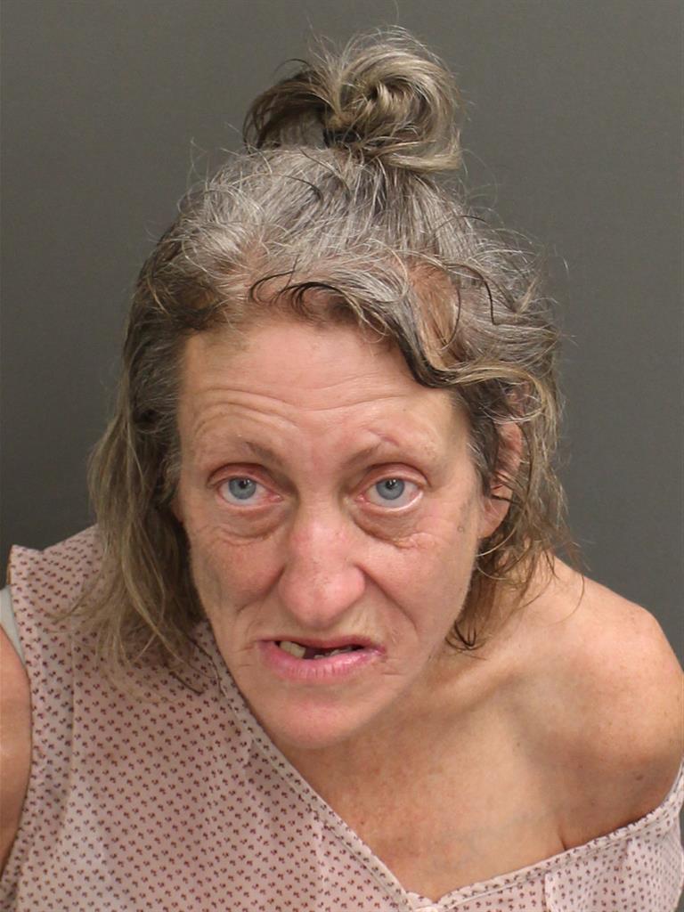  MARY PATRICIA JAMIESON Mugshot / County Arrests / Orange County Arrests