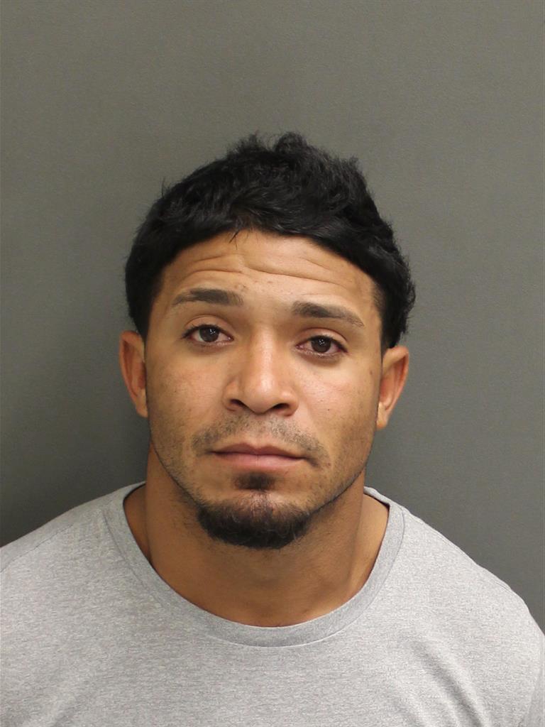  CARLO ORTEGA MARTINEZ Mugshot / County Arrests / Orange County Arrests