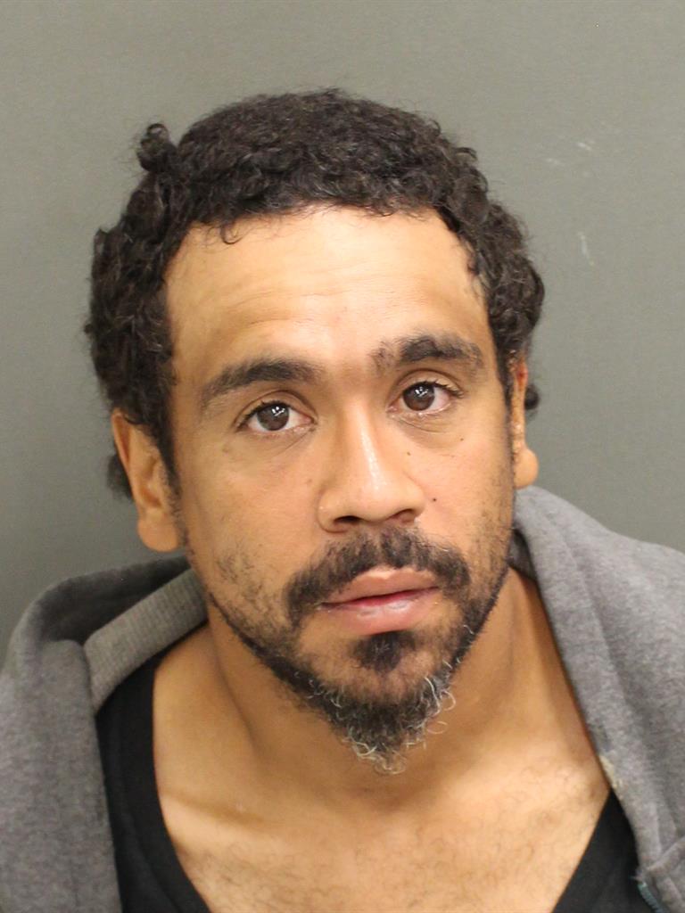  ORLANDO RIBOT Mugshot / County Arrests / Orange County Arrests