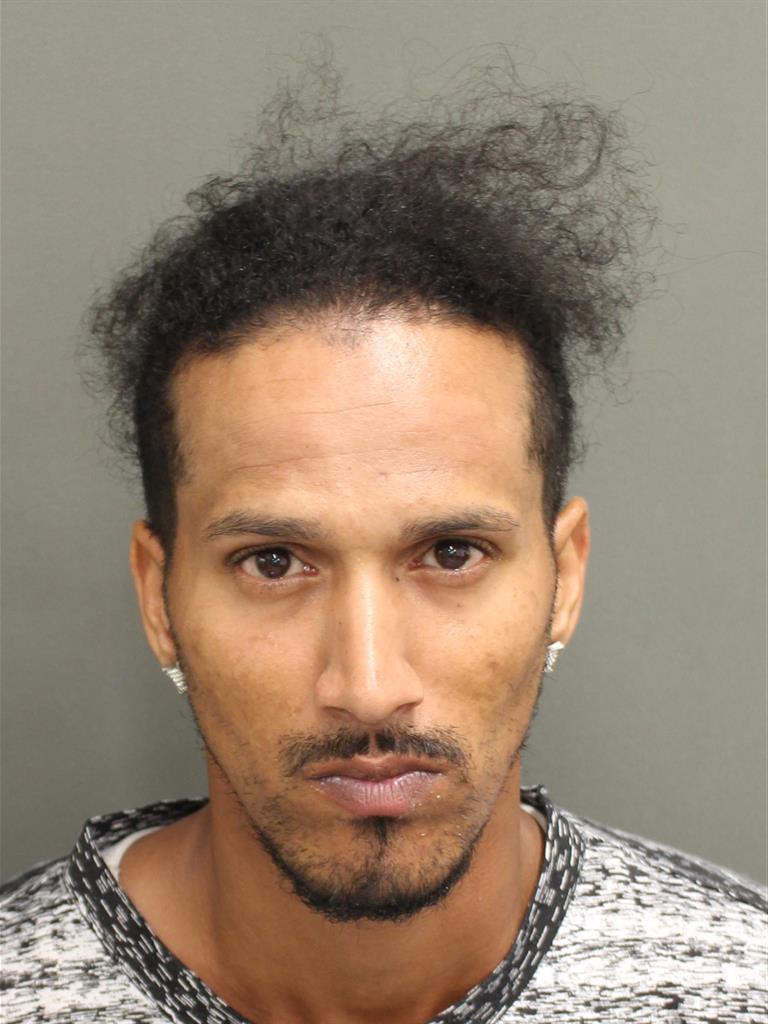  DENNIZ JR ANDINO Mugshot / County Arrests / Orange County Arrests