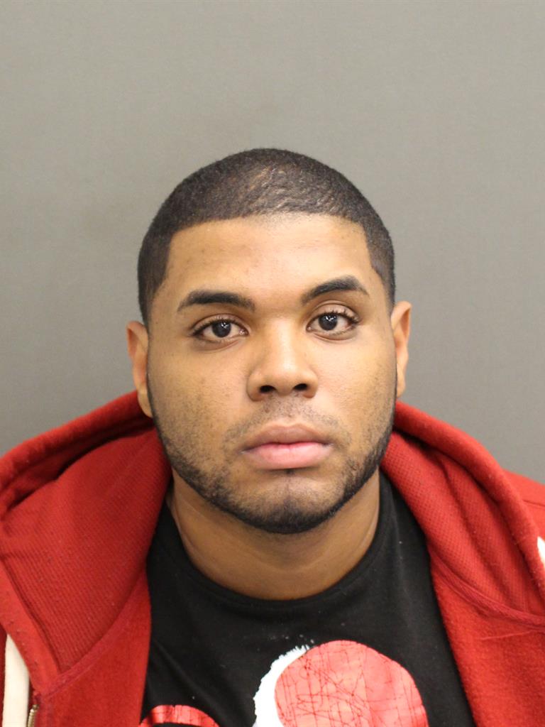  FRANCISCO ALBERTO BRITO Mugshot / County Arrests / Orange County Arrests