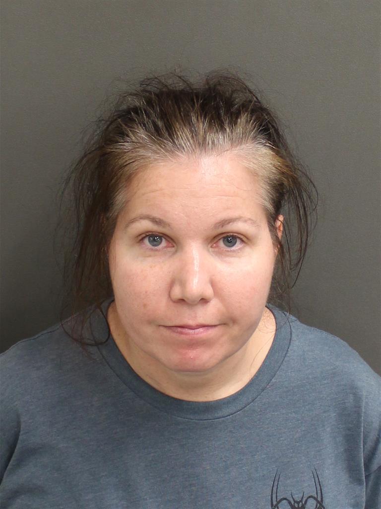  SARAH EMILY CHAPMAN Mugshot / County Arrests / Orange County Arrests