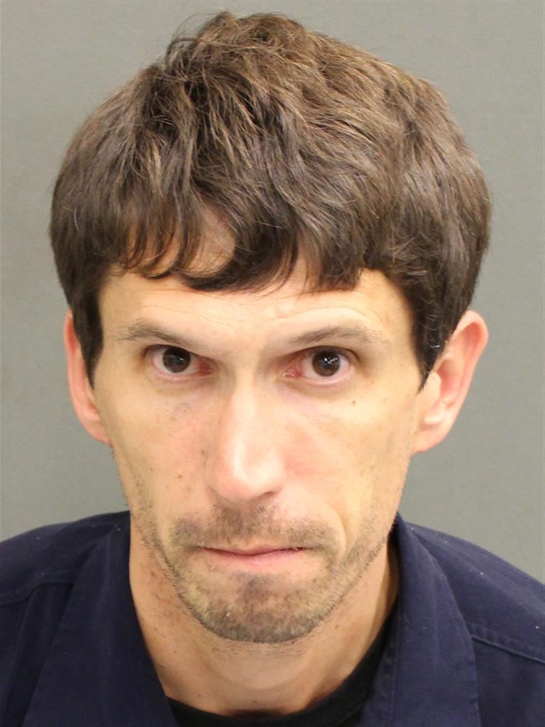  EDWARD HENRY JR PALWICK Mugshot / County Arrests / Orange County Arrests