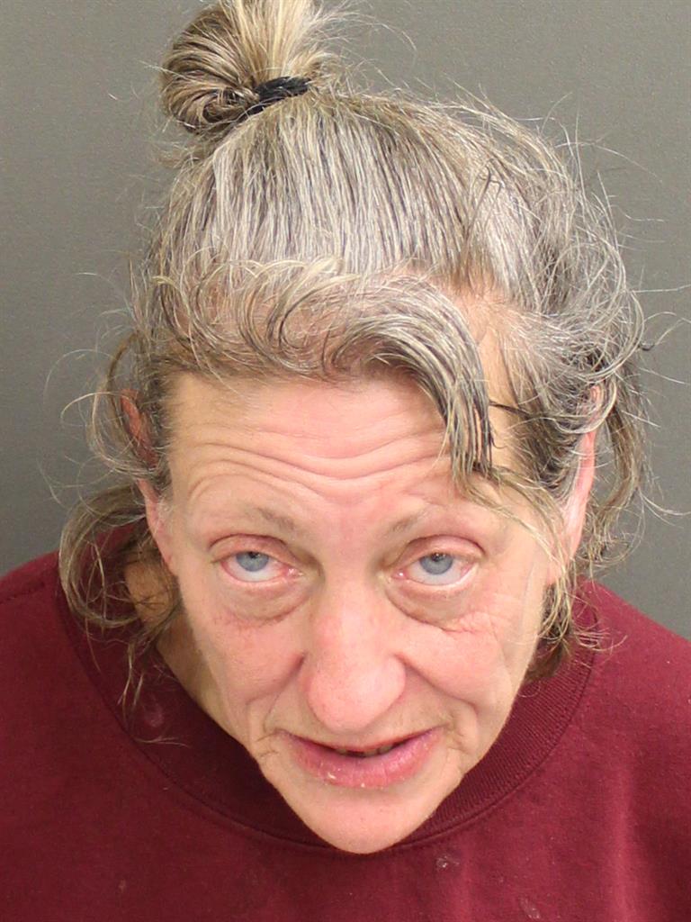  MARY PATRICIA JAMIESON Mugshot / County Arrests / Orange County Arrests