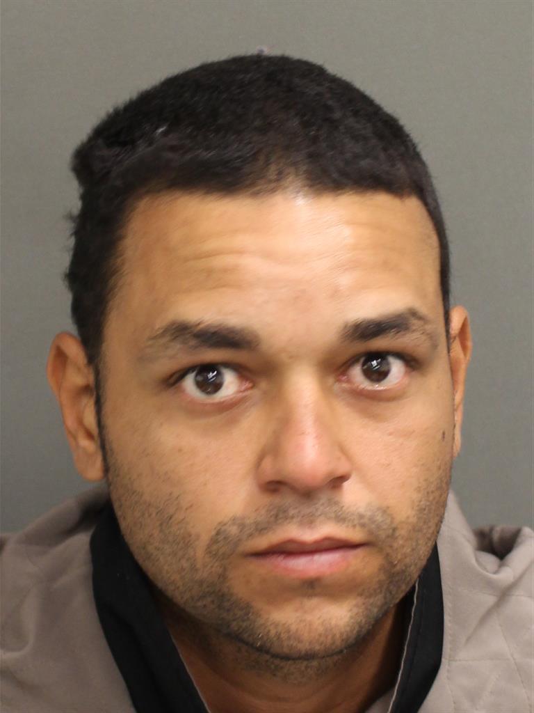  RICKY MERCADONIEVES Mugshot / County Arrests / Orange County Arrests