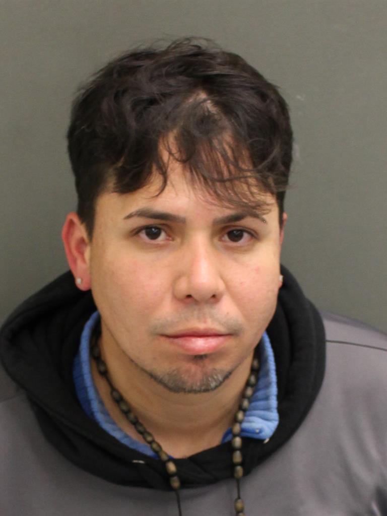  LUIS MANUEL FRATICELLIALICEA Mugshot / County Arrests / Orange County Arrests